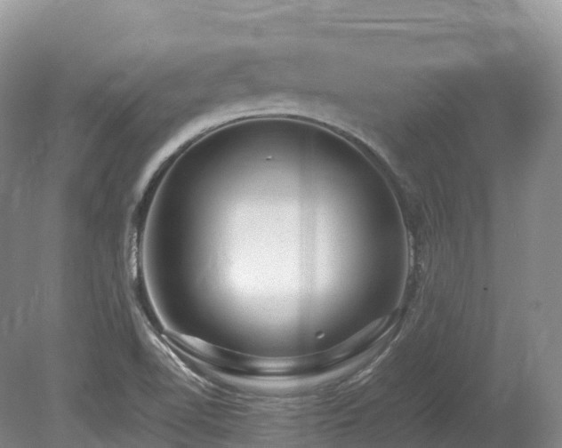 X0000080191510200612081414