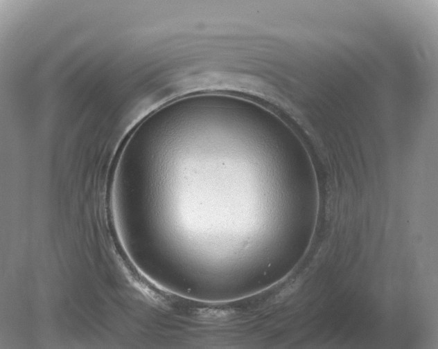 X0000080191513200612081414