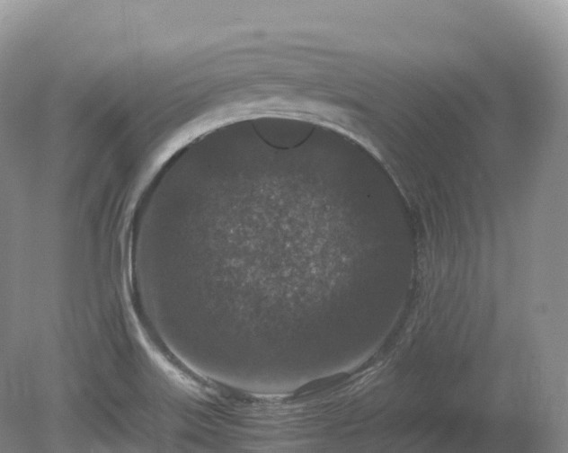 X0000080191515200612081414