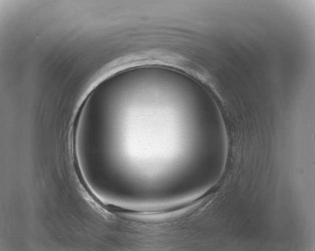 X0000080191516200612081414
