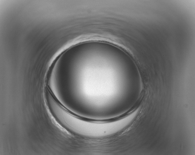 X0000080191518200612081414