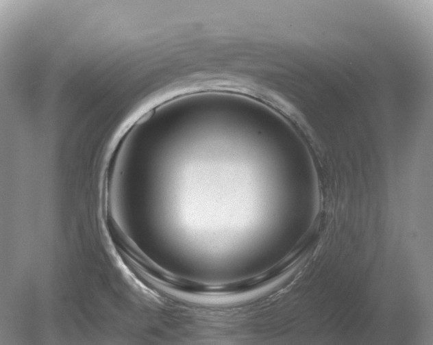 X0000080191520200612081414