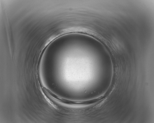 X0000080191521200612081414
