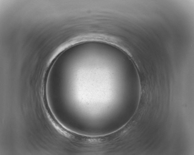 X0000080191523200612081414