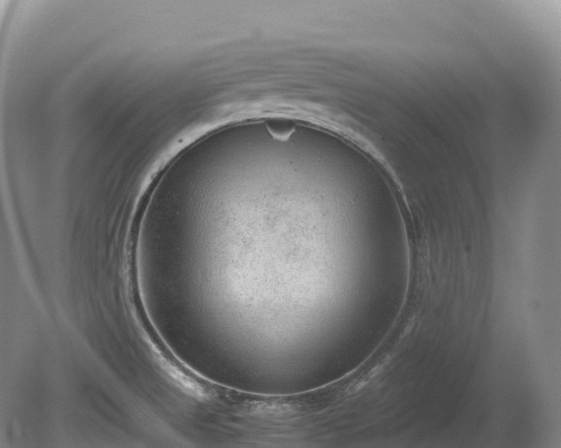 X0000080191525200612081414