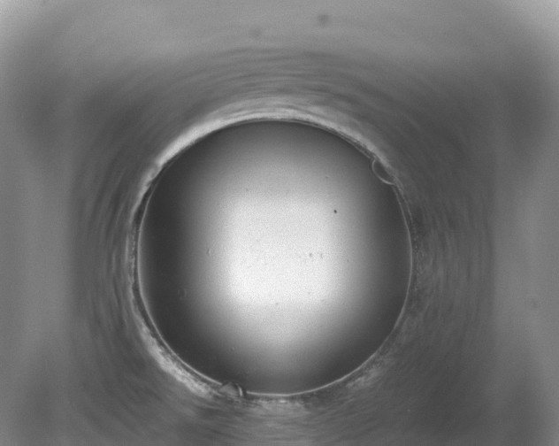 X0000080191526200612081414