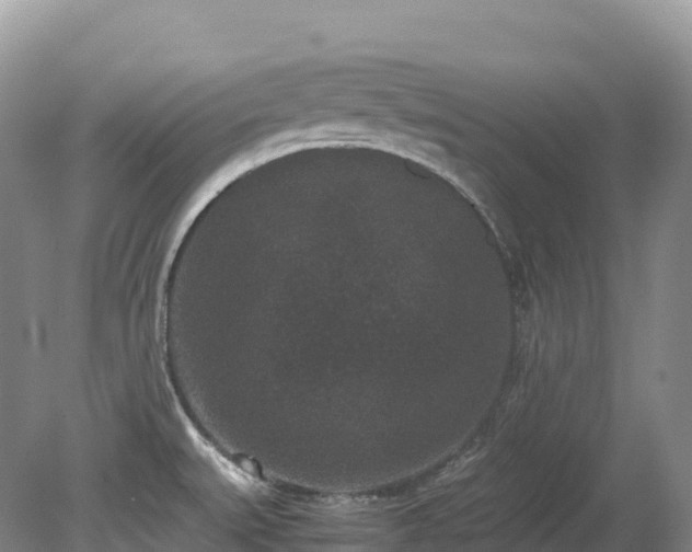 X0000080191527200612081414
