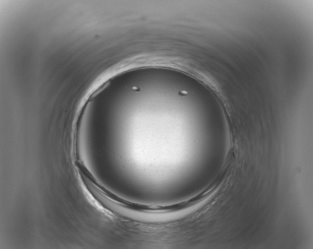 X0000080191528200612081414