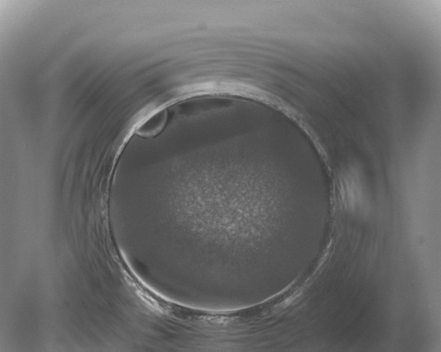 X0000080191529200612081414