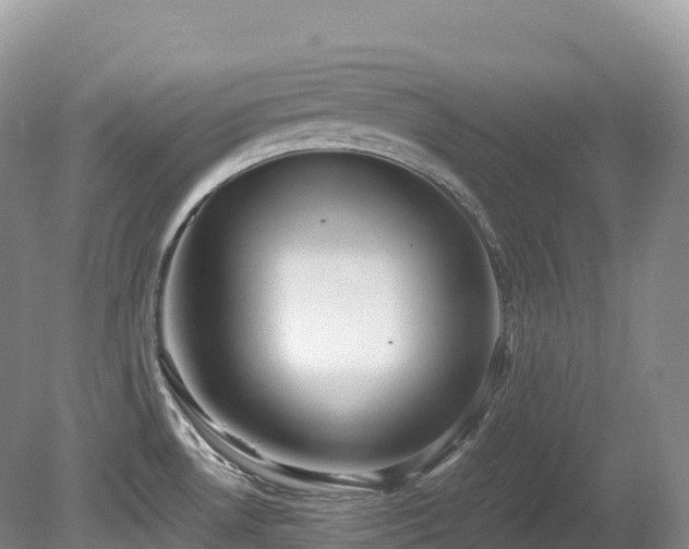 X0000080191530200612081414