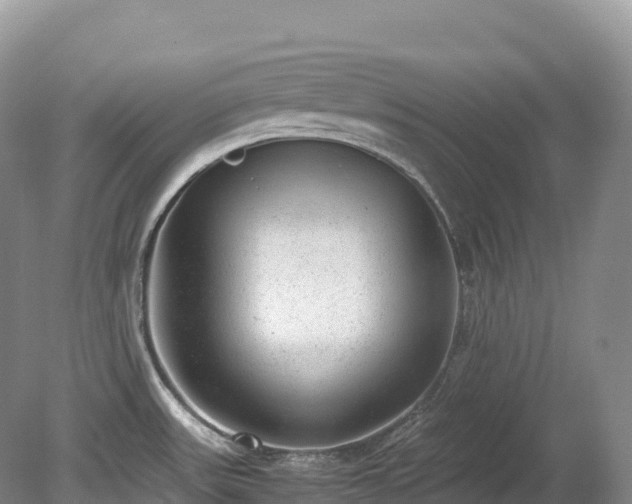 X0000080191531200612081414