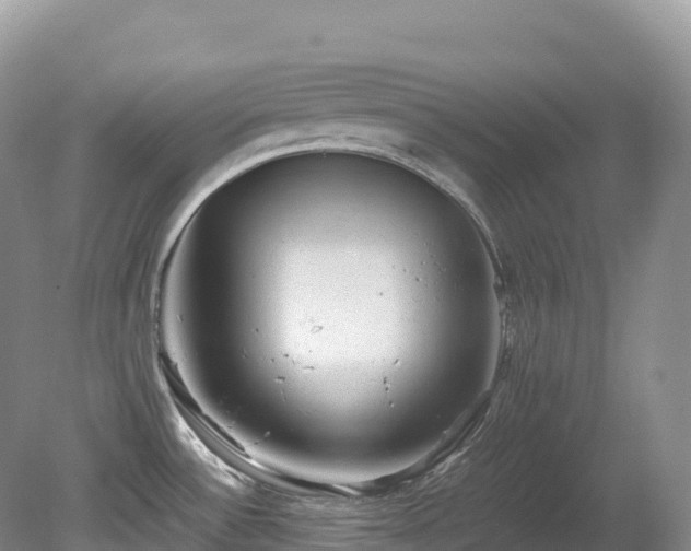 X0000080191532200612081414