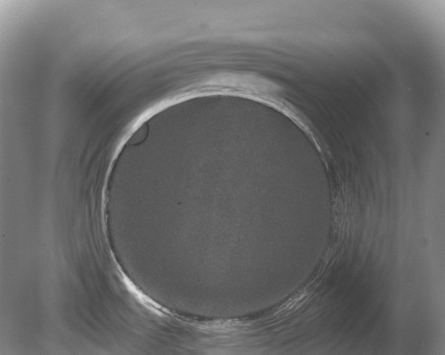 X0000080191535200612081414