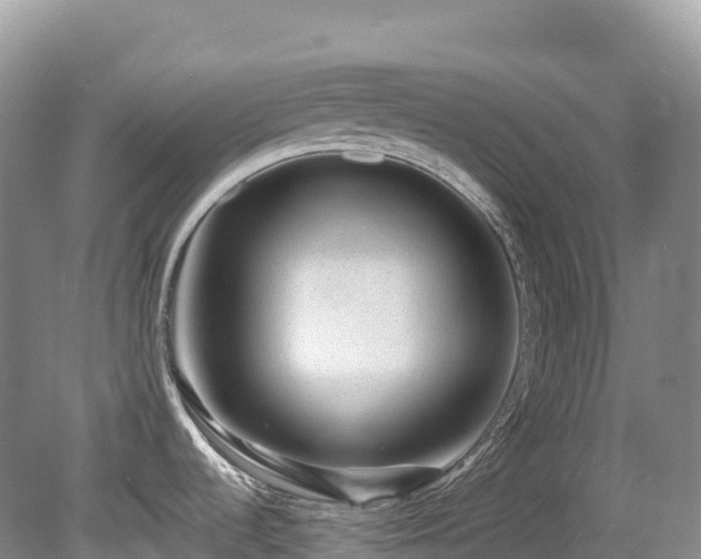 X0000080191536200612081414