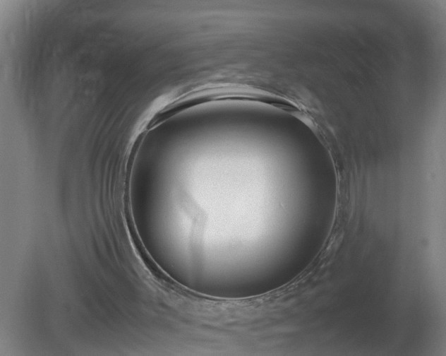 X0000080190003200612152026