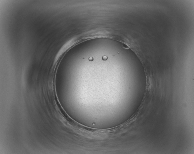 X0000080190004200612152026