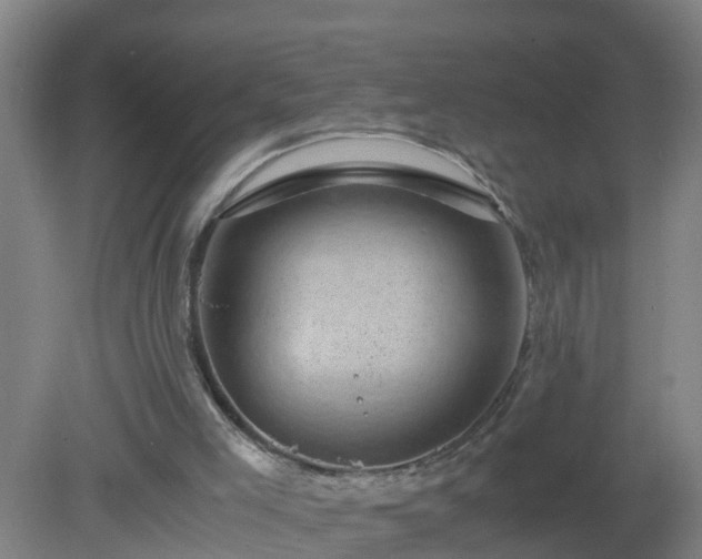 X0000080190005200612152026