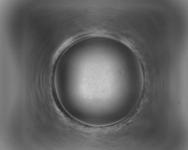 X0000080190007200612152026