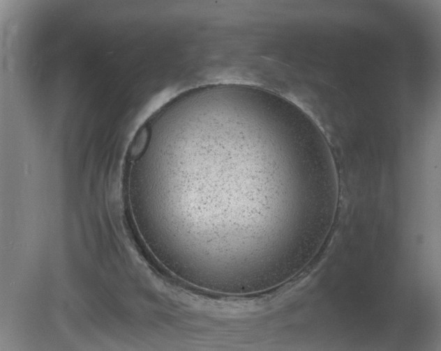 X0000080190008200612152026