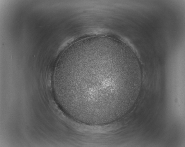 X0000080190010200612152026