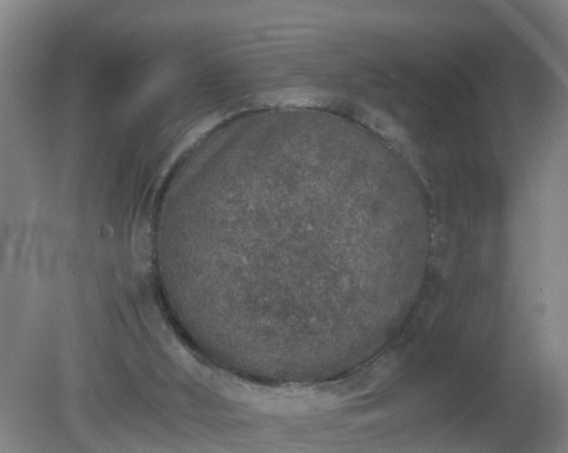 X0000080190012200612152026