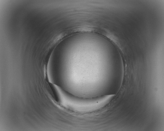 X0000080190013200612152026