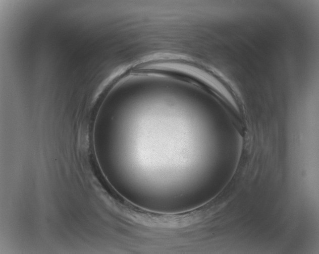 X0000080190015200612152026