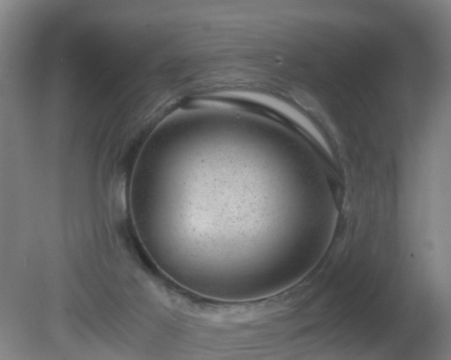 X0000080190021200612152026