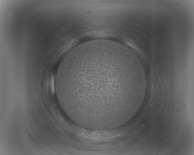 X0000080190022200612152026