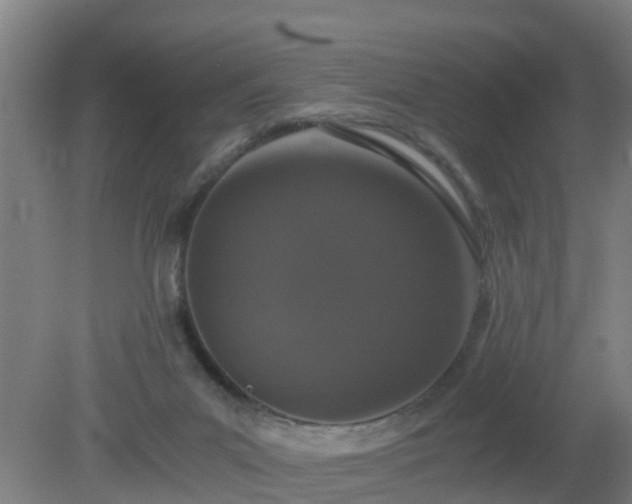 X0000080190023200612152026
