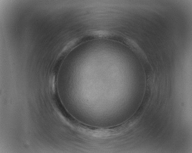 X0000080190024200612152026
