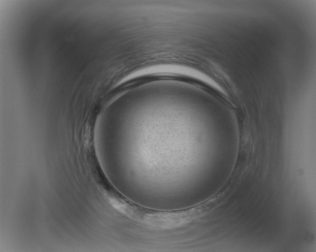 X0000080190025200612152026