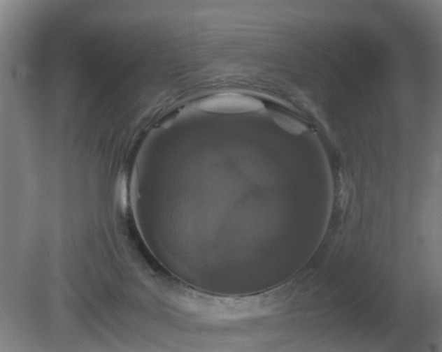 X0000080190027200612152026