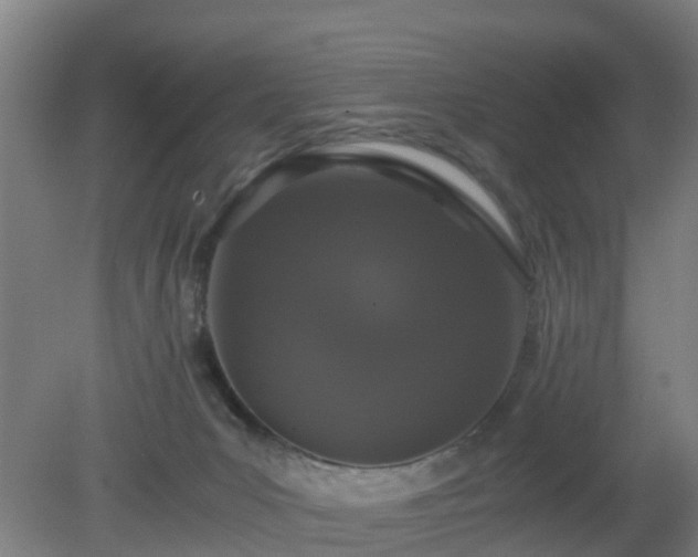 X0000080190031200612152026