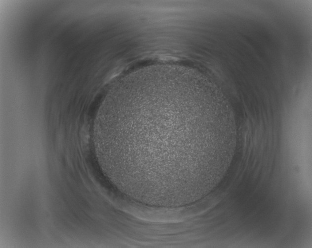 X0000080190032200612152026