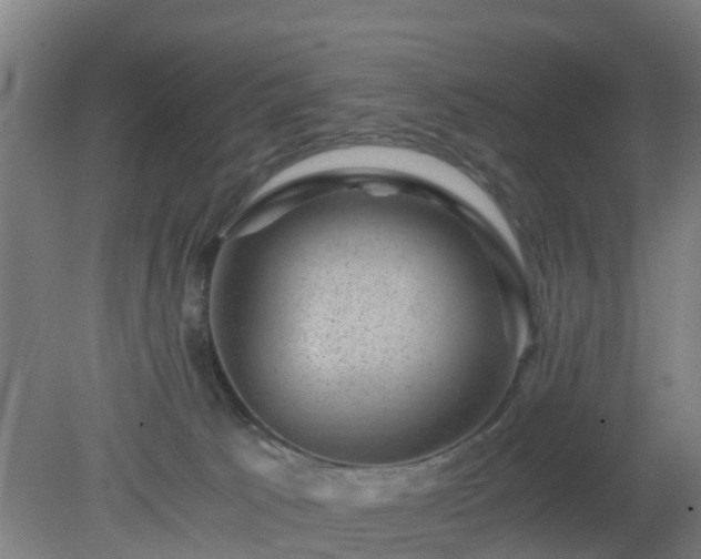 X0000080190033200612152026