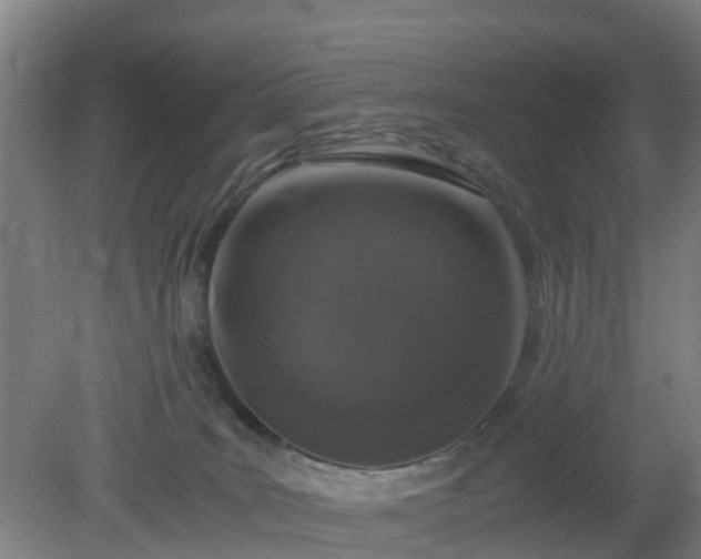 X0000080190035200612152026