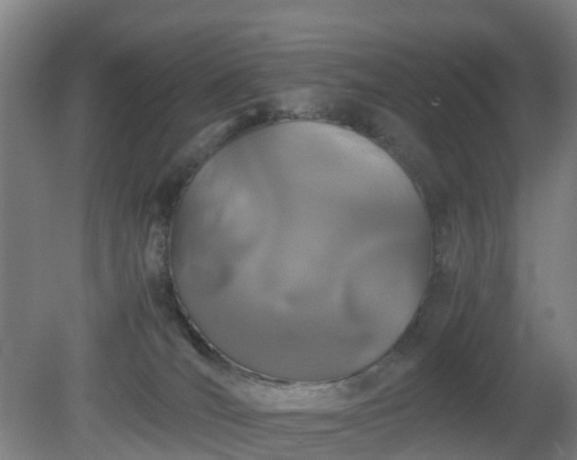 X0000080190036200612152026