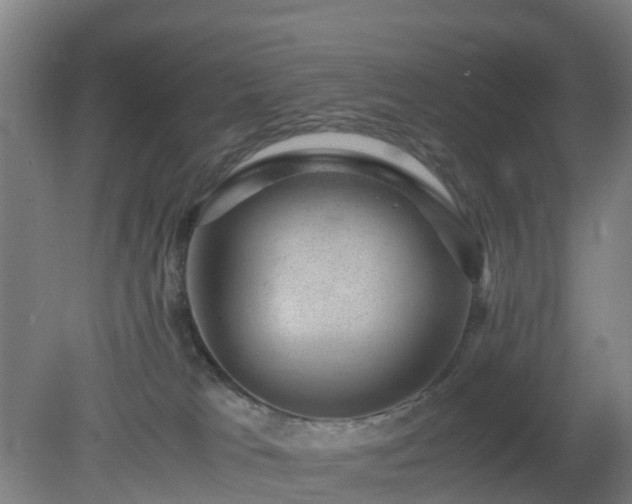 X0000080190037200612152026