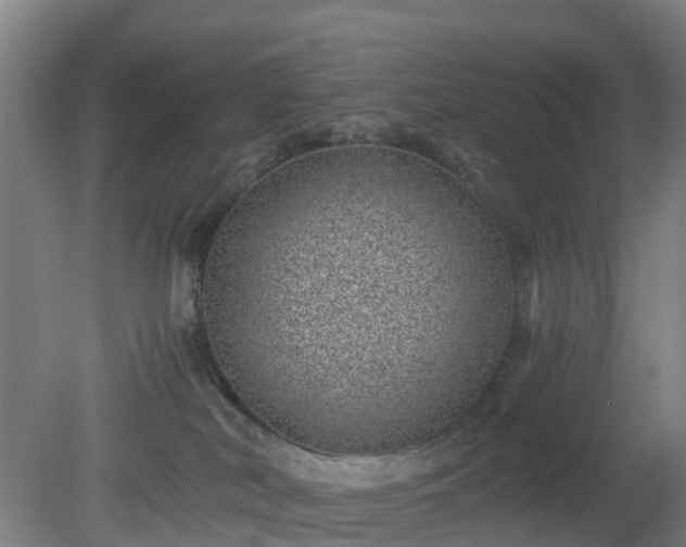 X0000080190038200612152026
