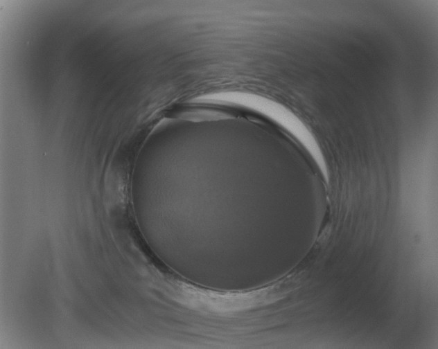 X0000080190039200612152026