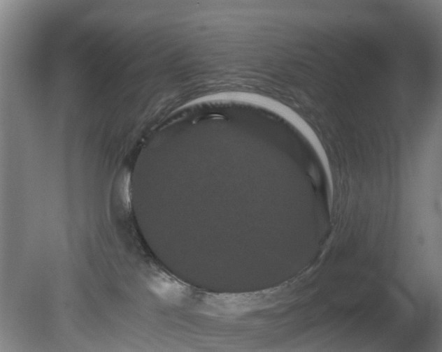 X0000080190041200612152025