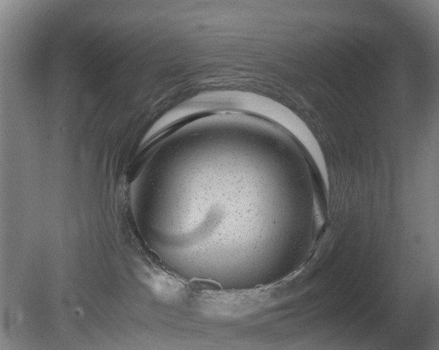 X0000080190045200612152025