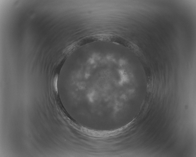 X0000080190047200612152025