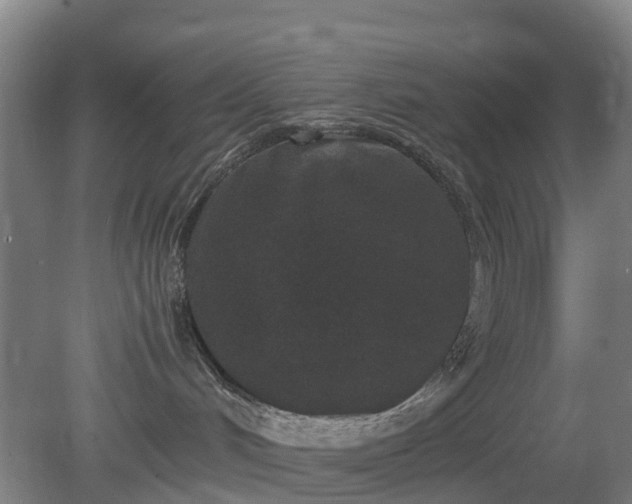 X0000080190048200612152025