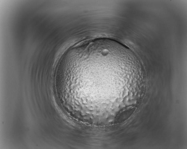 X0000080190049200612152025