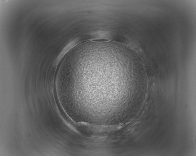 X0000080190051200612152025