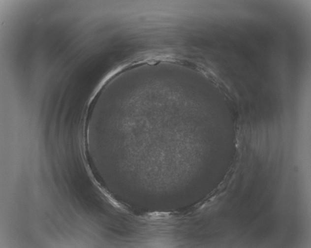 X0000080190052200612152025