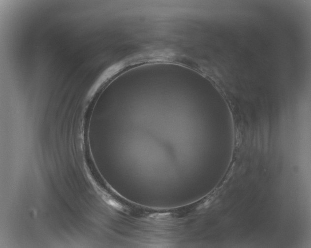 X0000080190054200612152025