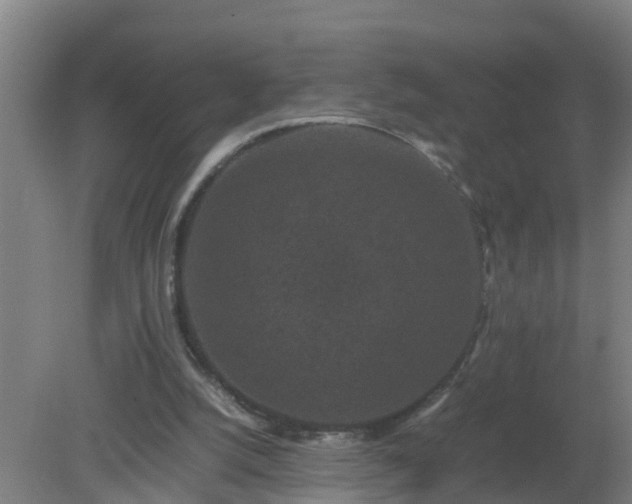 X0000080190056200612152025